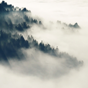 警花被歹徒糟蹋到高潮
